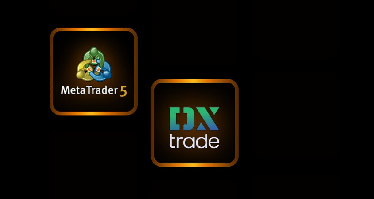 Explore Our Platforms